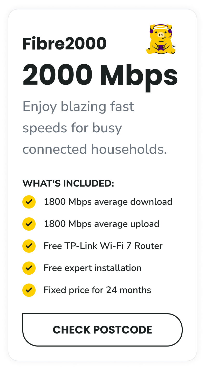 BF_Bigger_Fibre2000