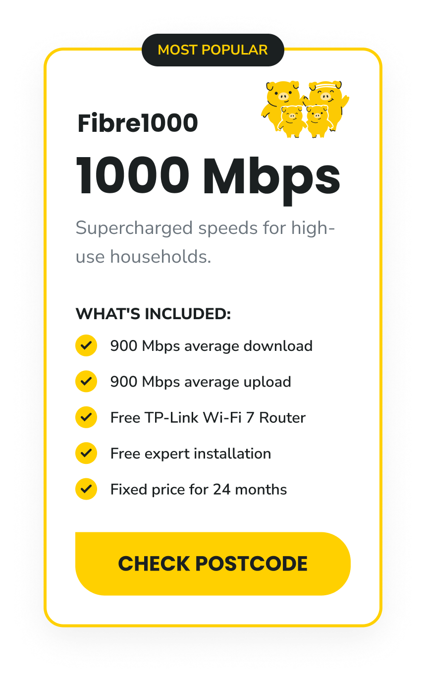 BF_Fibre1000