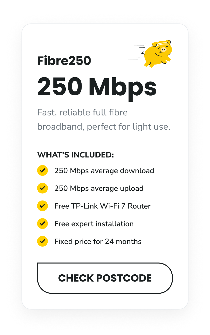 BF_Fibre250