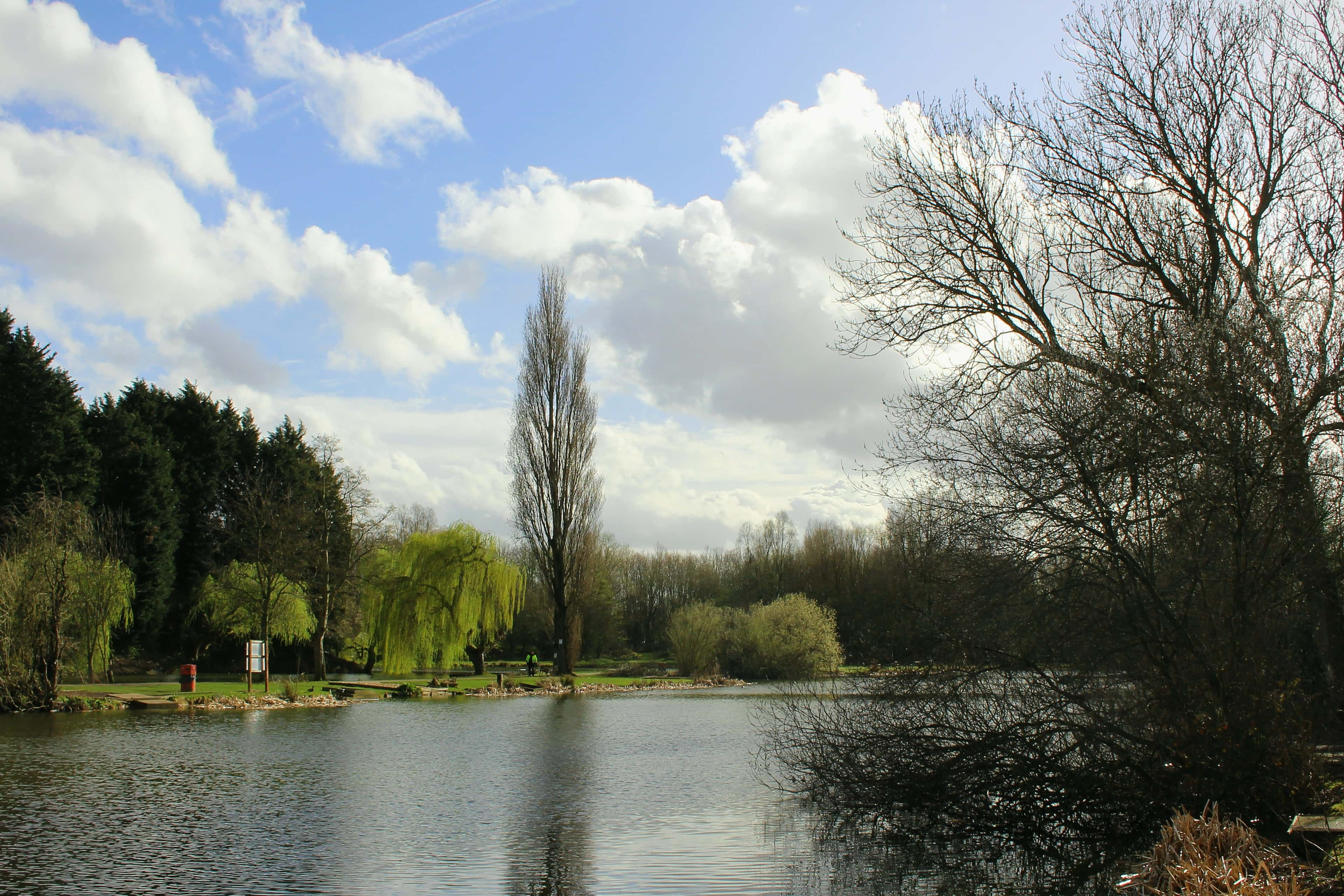 Fishing Ponds